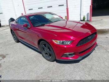  Salvage Ford Mustang