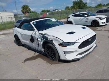  Salvage Ford Mustang