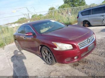  Salvage Nissan Maxima