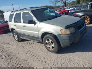  Salvage Ford Escape