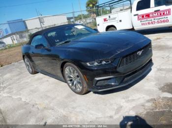  Salvage Ford Mustang