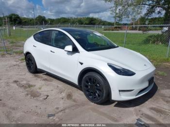  Salvage Tesla Model Y