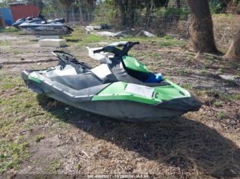  Salvage Sea-Doo Other