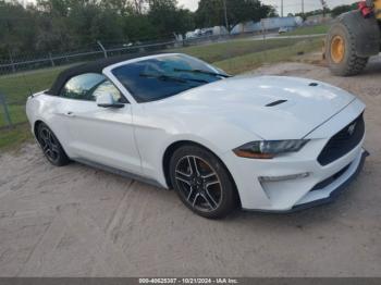  Salvage Ford Mustang