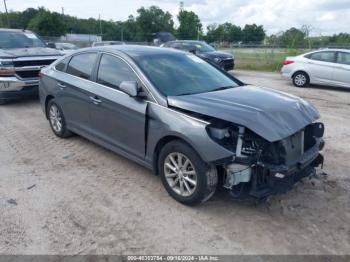  Salvage Hyundai SONATA