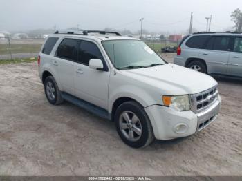  Salvage Ford Escape