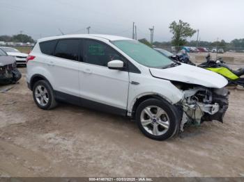  Salvage Ford Escape