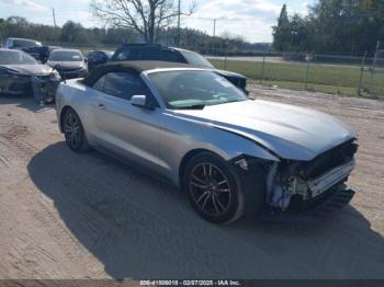  Salvage Ford Mustang