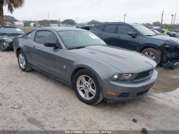  Salvage Ford Mustang