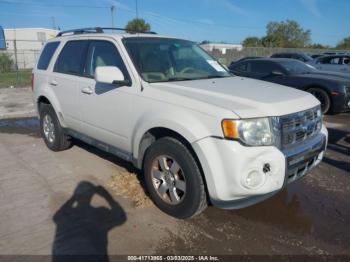  Salvage Ford Escape