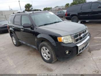  Salvage Ford Escape