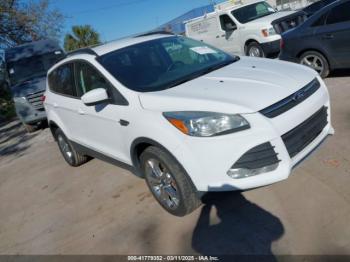  Salvage Ford Escape