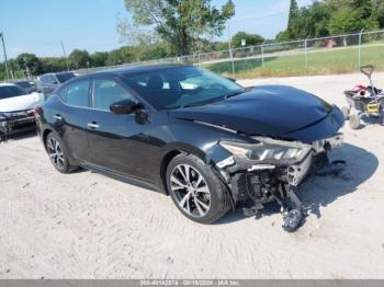  Salvage Nissan Maxima