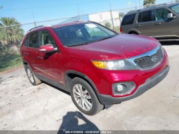  Salvage Kia Sorento