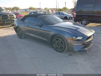  Salvage Ford Mustang