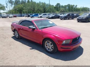  Salvage Ford Mustang