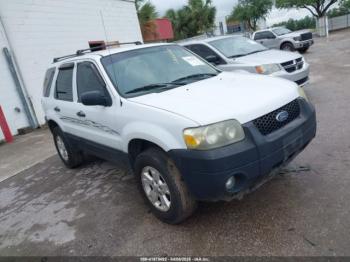  Salvage Ford Escape