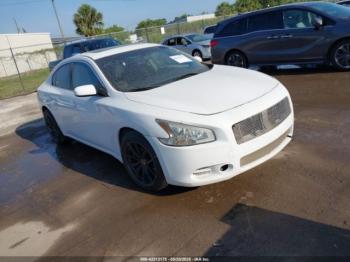  Salvage Nissan Maxima