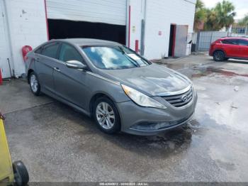  Salvage Hyundai SONATA