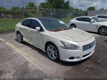  Salvage Nissan Maxima