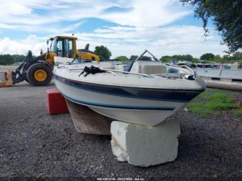 Salvage Wellcraft Other