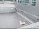 Ford Transit Image 16