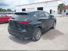 Lexus NX Image 2