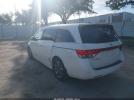 Honda Odyssey Image 6