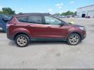 Ford Escape Se Image 12