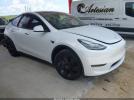 Tesla Model Y Image 1