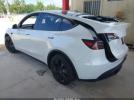 Tesla Model Y Image 2