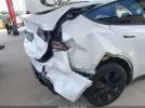 Tesla Model Y Image 6
