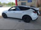 Tesla Model Y Image 7