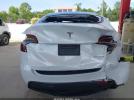 Tesla Model Y Image 15