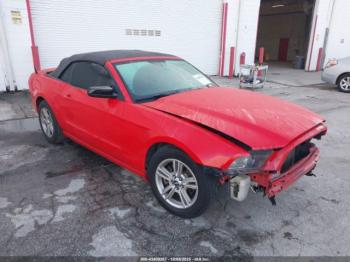  Salvage Ford Mustang