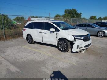  Salvage Honda Odyssey