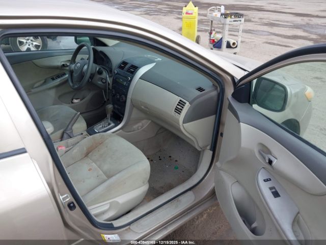 Toyota Corolla Le Image 10