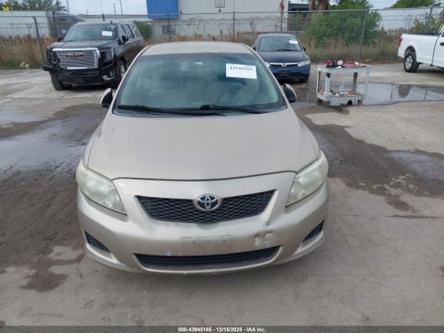 Toyota Corolla Le Image 3