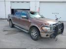 Ford F-150 King Ranch Image 1