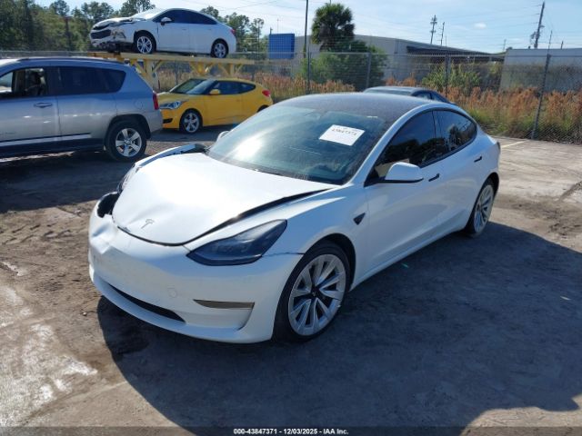 Tesla Model 3 Rear-wheel Drive Image 13