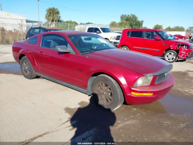 Ford Mustang Image 1