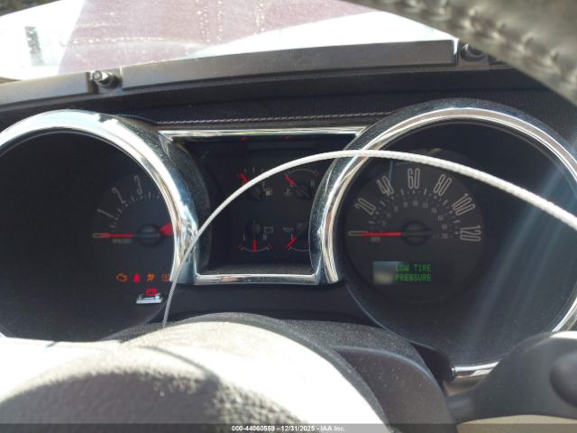 Ford Mustang Image 6