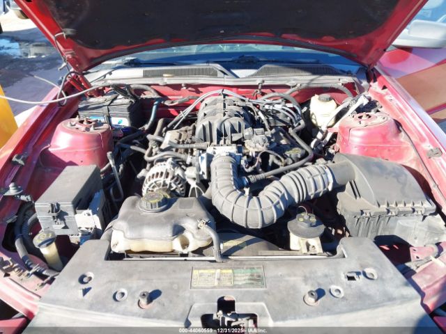 Ford Mustang Image 11