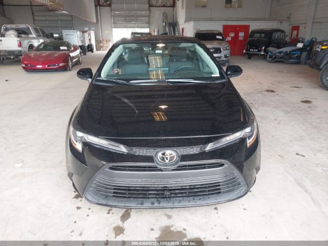 Toyota Corolla Le Image 16