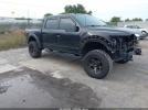 Ford F-150 Raptor Image 1