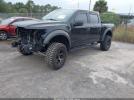 Ford F-150 Raptor Image 9