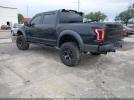Ford F-150 Raptor Image 11