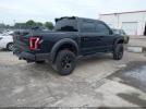 Ford F-150 Raptor Image 13