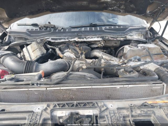 Ford F-250 Limited Image 8