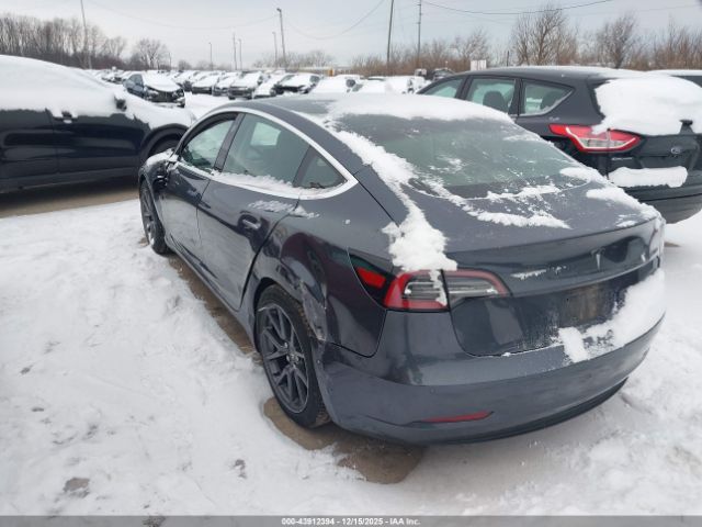 Tesla Model 3 Image 5